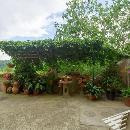 Rosa In Der Toskana By Interhome *
